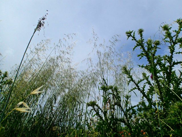 There're some great walks around Vathi and the sun helps to highlight the colours of shrubbery and vegetation lining the paths.