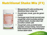 Herbalife Nutritional Shake Mix