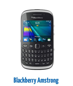 Blackberry Amstrong (colour)